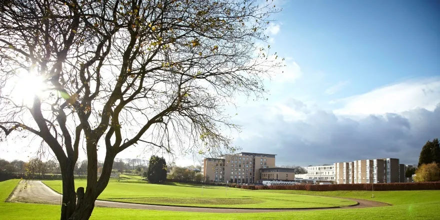 Tree, grass, blue skies, clouds, campus buildings.